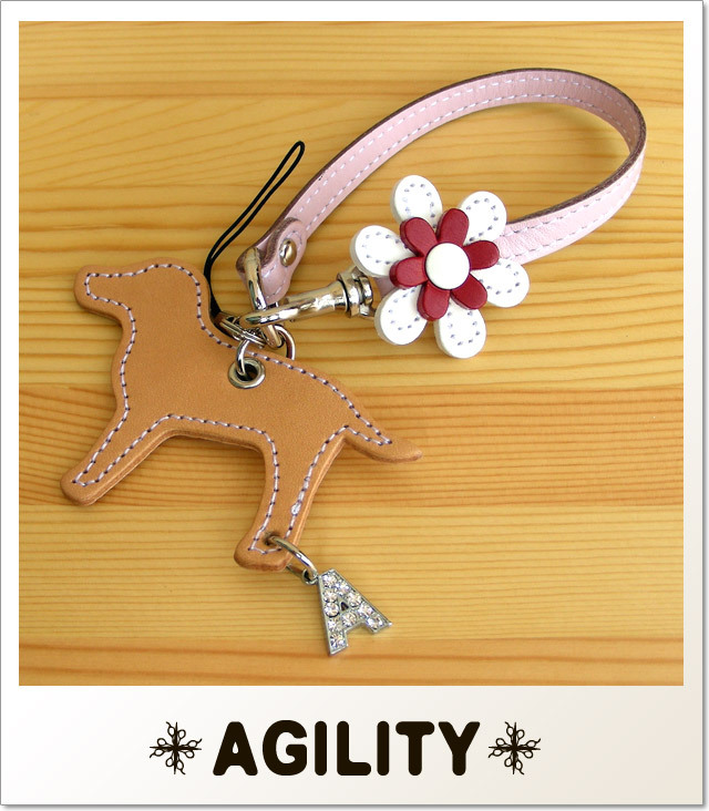 AGILITY