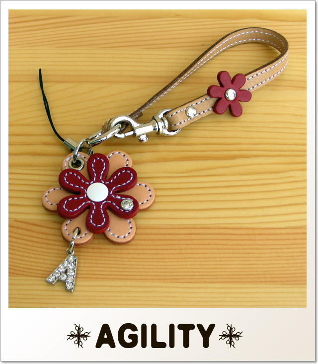 AGILITY
