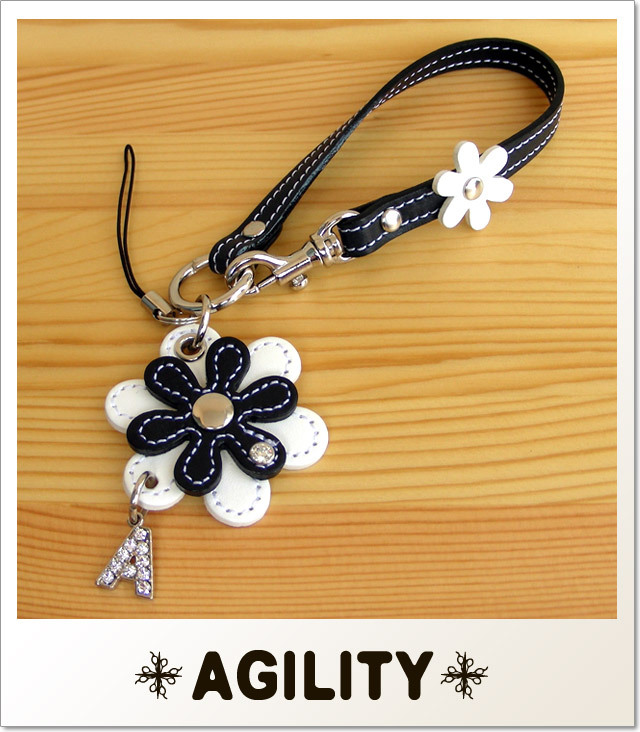 AGILITY