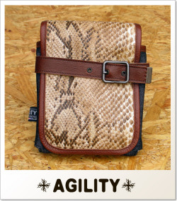 AGILITY