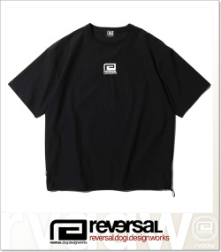 reversal (リバーサル)