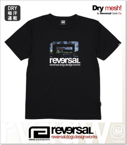 reversal (リバーサル)