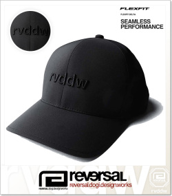 reversal (リバーサル)