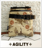 AGILITY