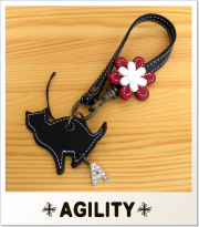 AGILITY