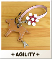 AGILITY