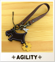 AGILITY