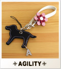 AGILITY