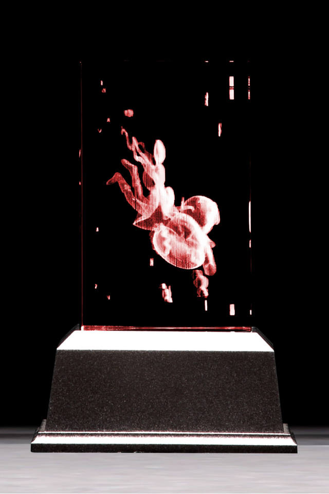 魔法少女育成計画 ねむりん プレミアムクリスタル（シリアルナンバー入り）