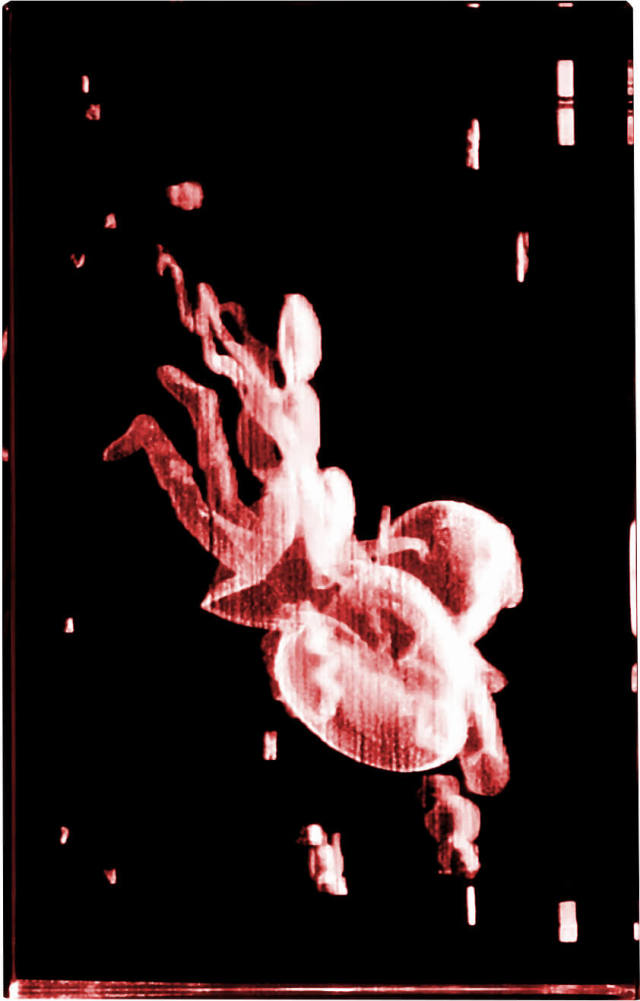 魔法少女育成計画 ねむりん プレミアムクリスタル（シリアルナンバー入り）