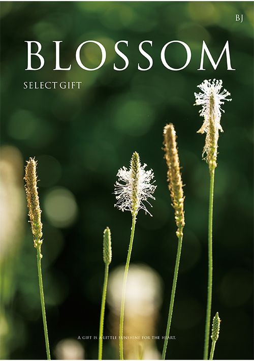 カタログギフト -ブロッサムセレクトギフト- ブロッサムBJ　(BJ9-85)