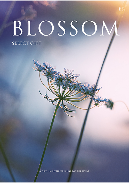 カタログギフト -ブロッサムセレクトギフト- ブロッサムBK　(BK9-85)