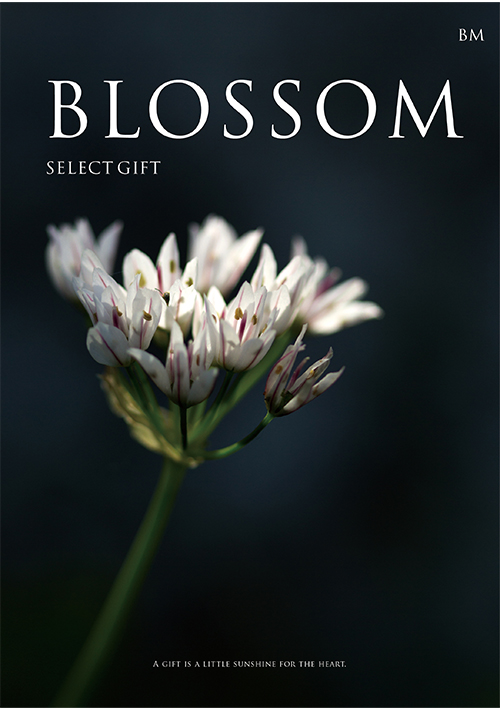 カタログギフト -ブロッサムセレクトギフト- ブロッサムBM　(BM9-85)