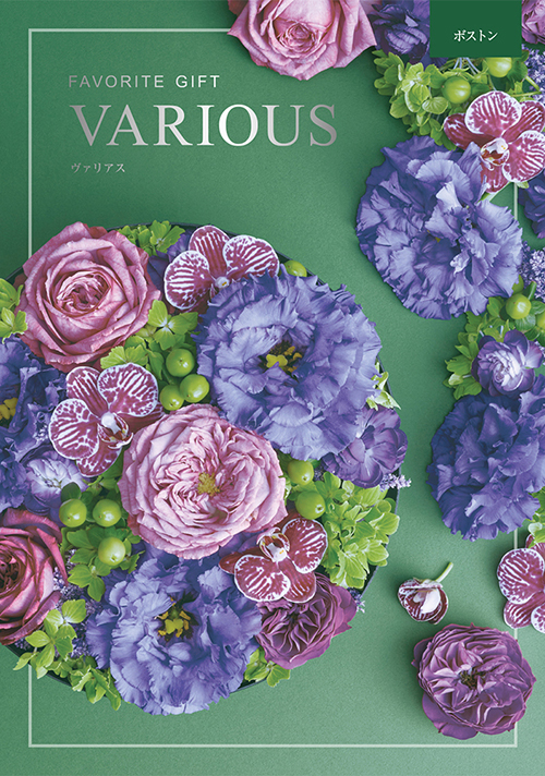 カタログギフト  ハーモニック-ヴァリアス- ボストン　(V209-68)