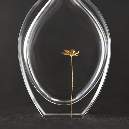 a bottle-flower(一輪挿し)／時澤真美