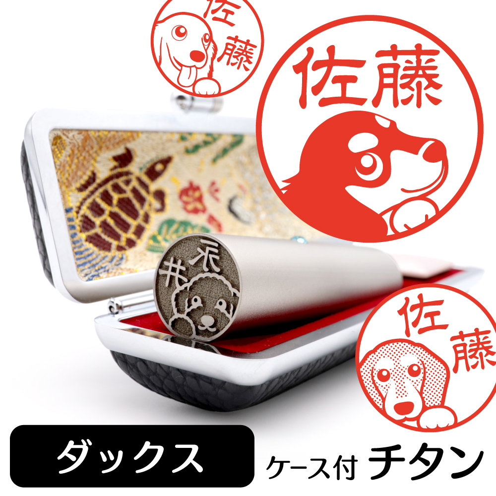 ミニチュアダックス　チタンTOP