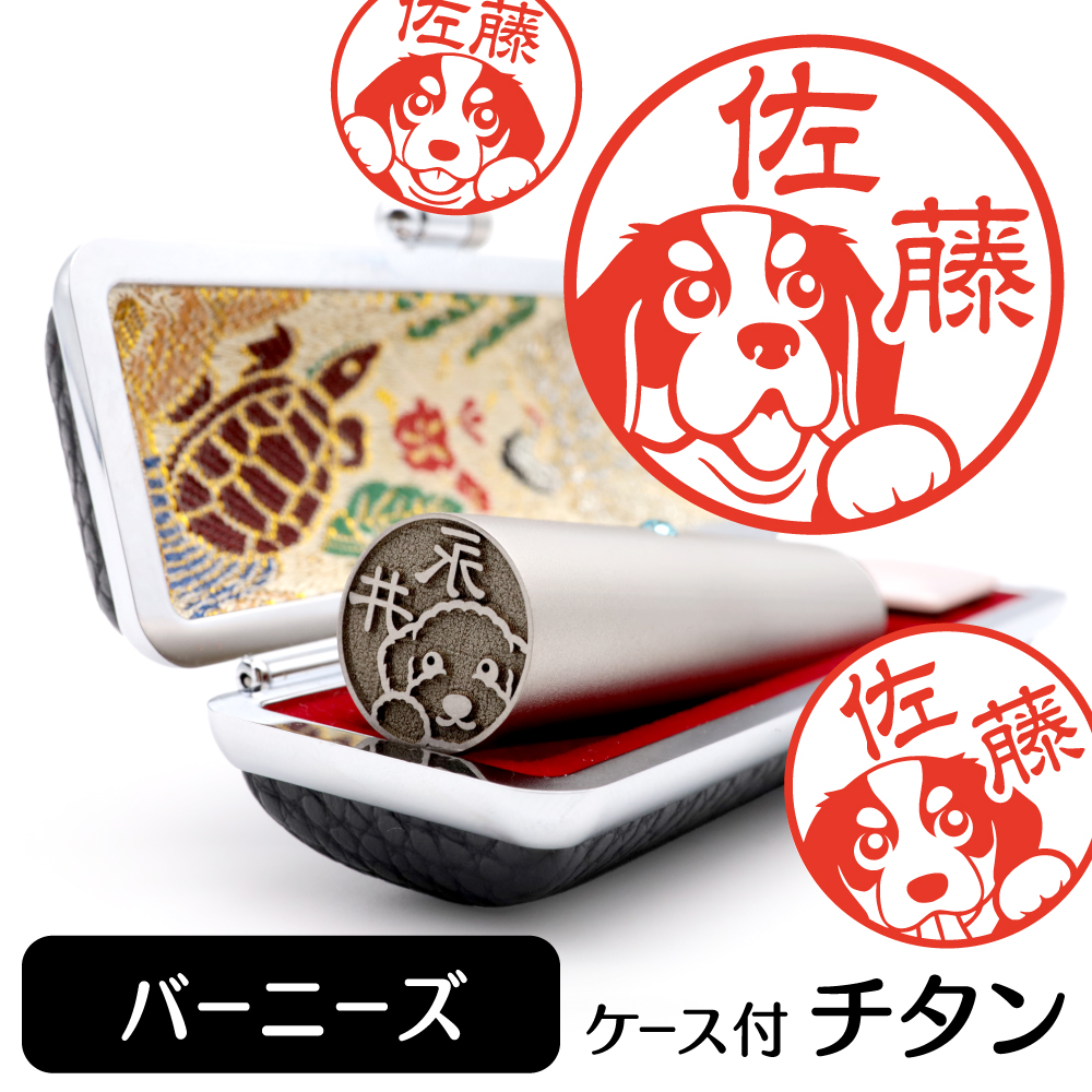 バーニーズ　チタンTOP