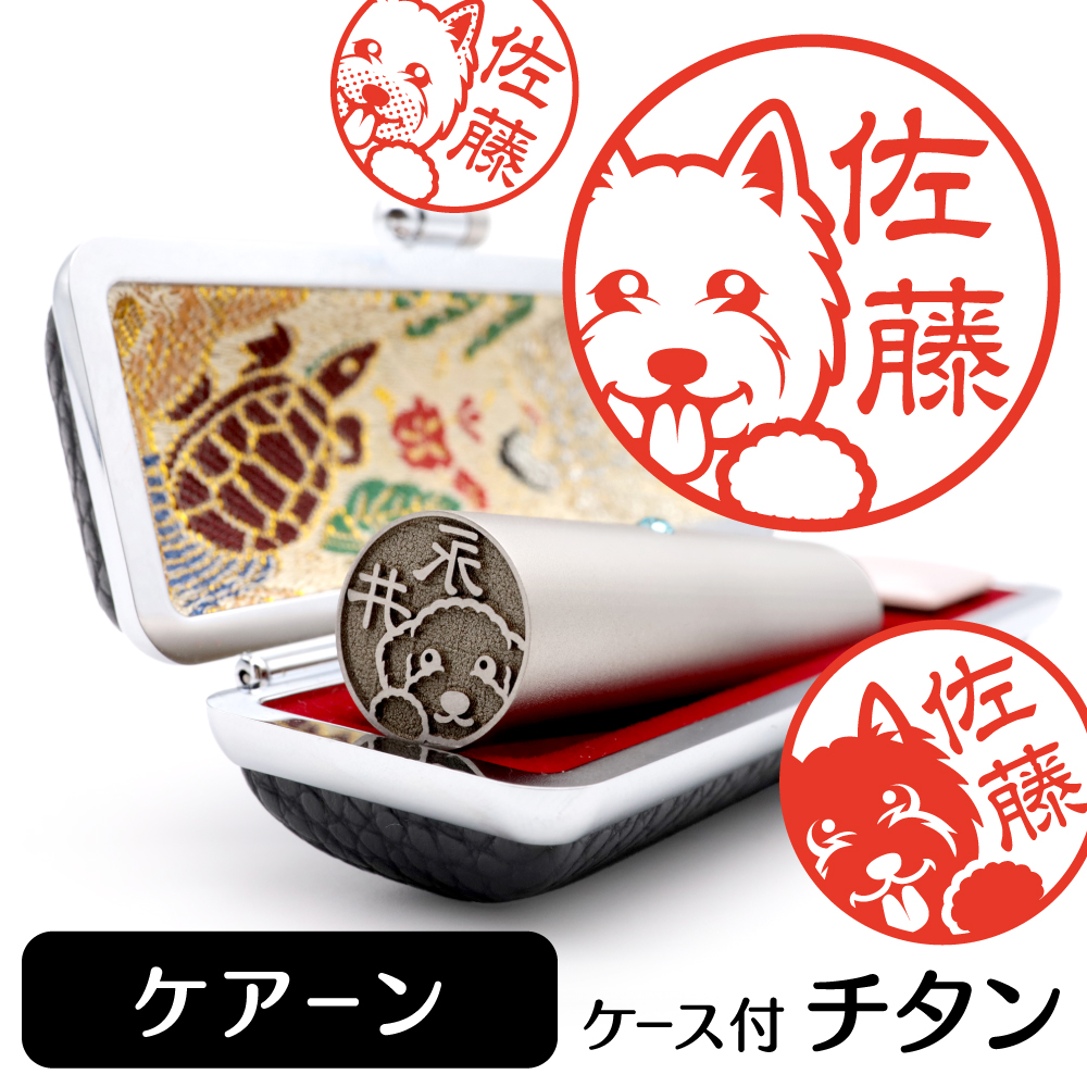 ケアーンテリア　チタンTOP