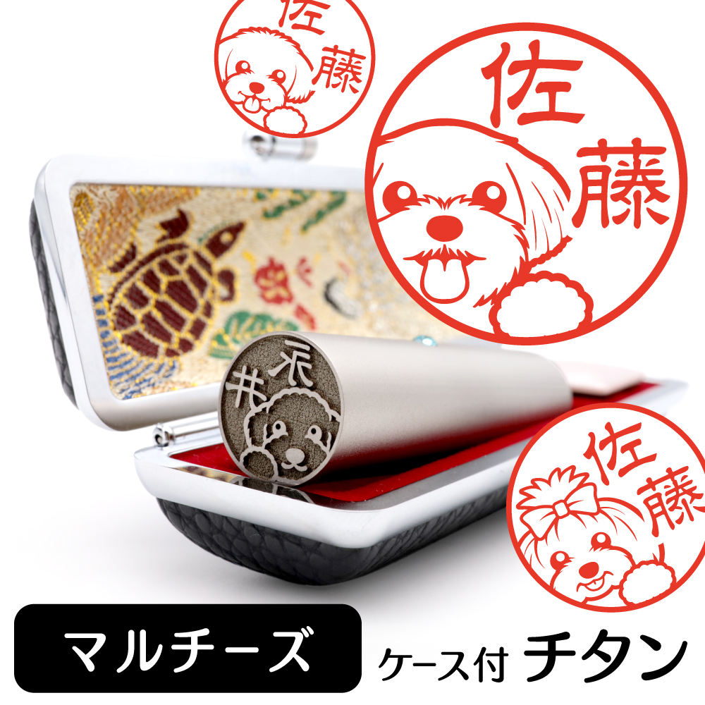 マルチーズ　チタンTOP