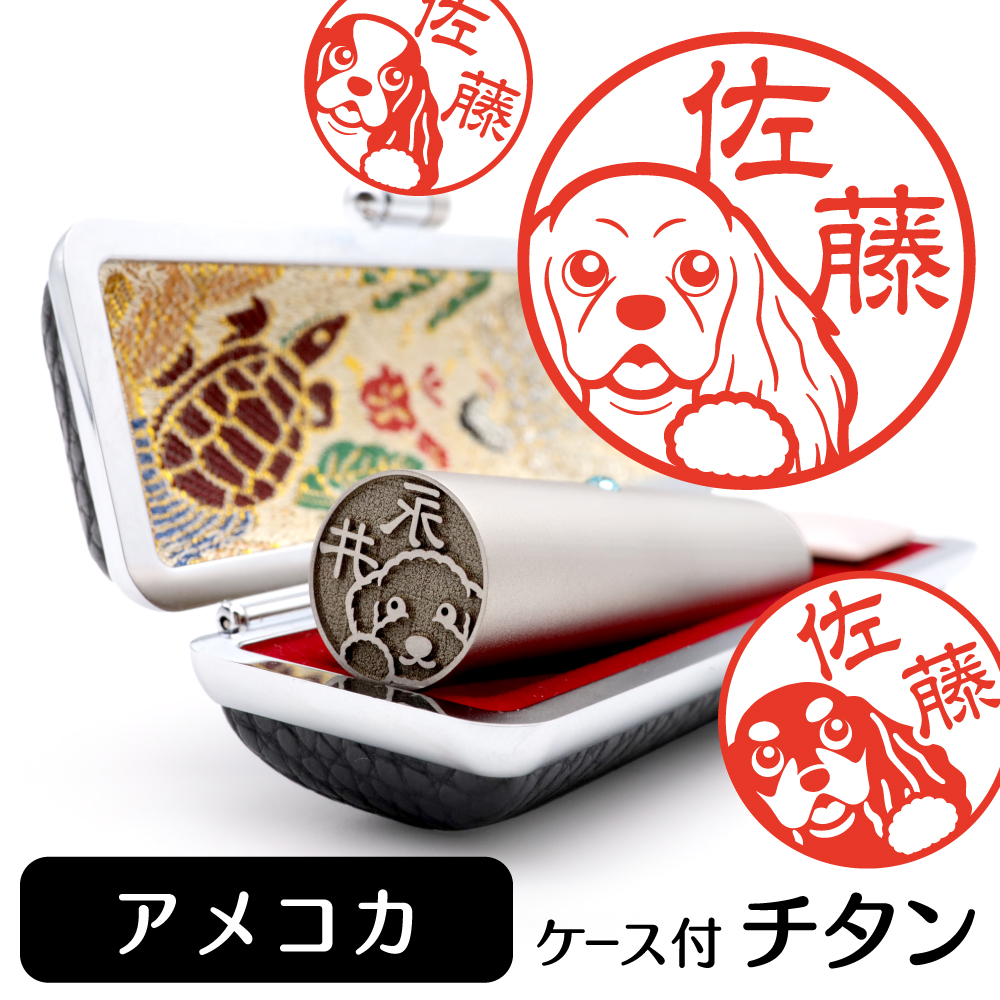 アメリカンコッカー　チタンTOP