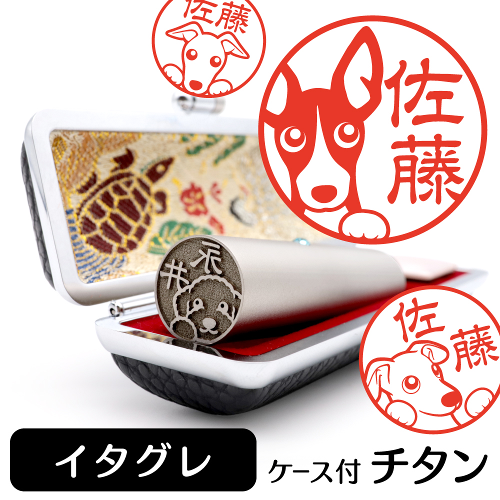 イタグレ　チタンTOP