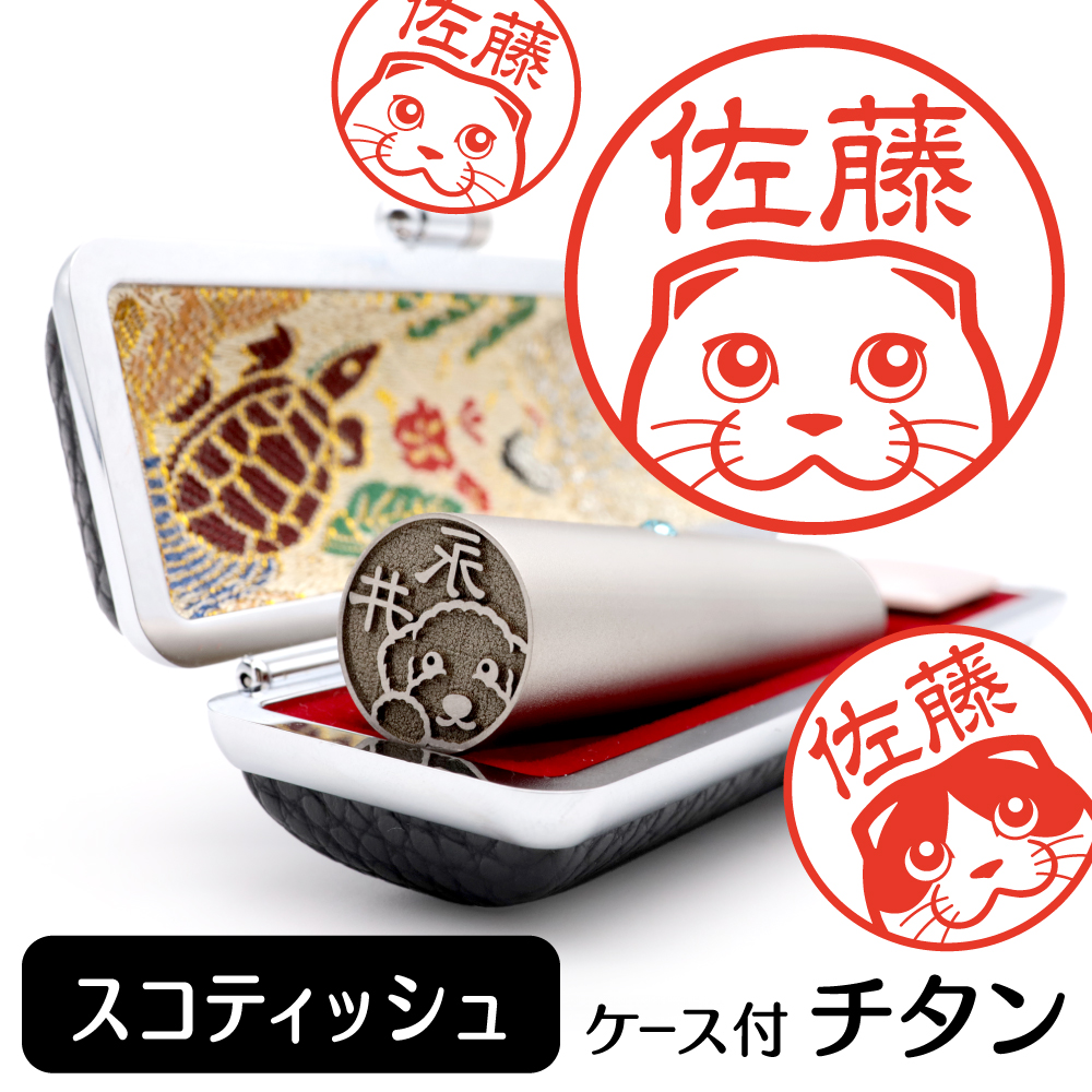 スコティッシュフォールド　チタンTOP
