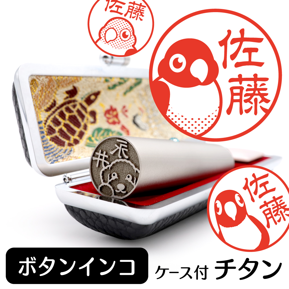 ボタンインコ　チタンTOP