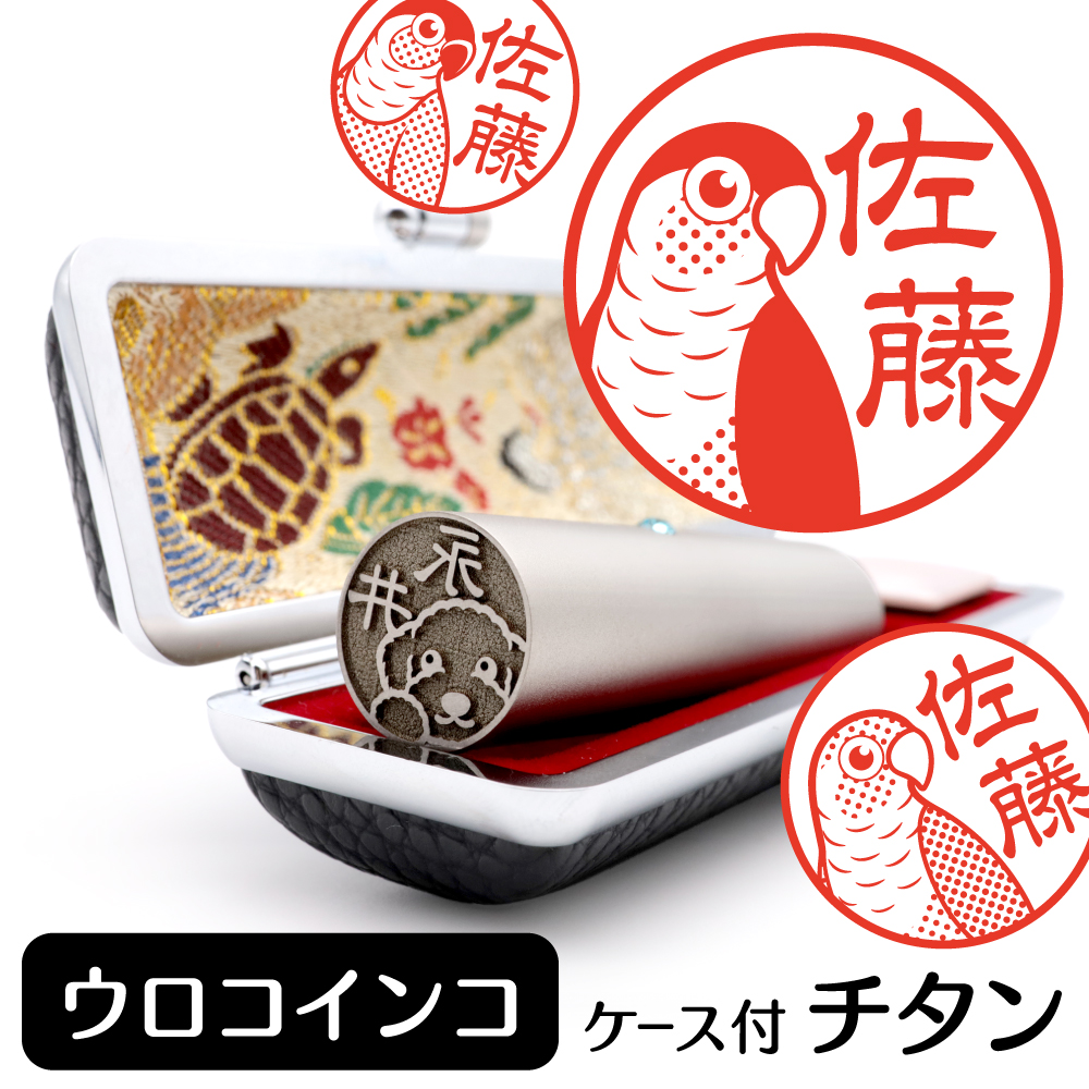 ウロコインコ　チタンTOP