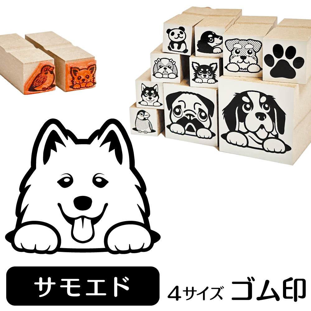 サモエド　イラストゴム印【選べる4サイズ】犬のイラストはんこ