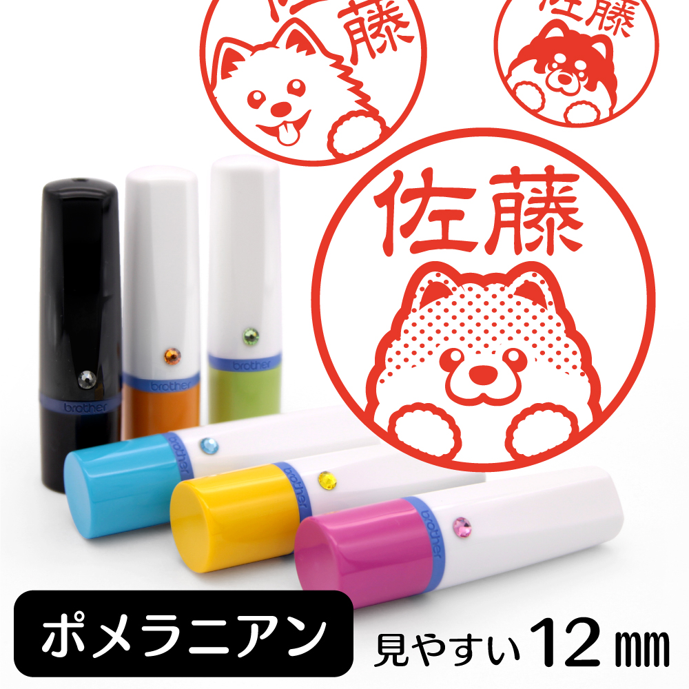 ポメラニアンTOP