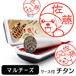 マルチーズ　チタンTOP