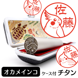 オカメインコ　チタンTOP