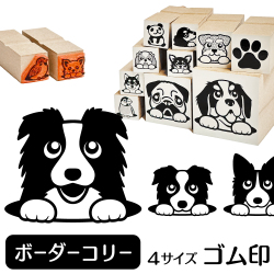 ボーダーコリー　イラストゴム印【選べる4サイズ】犬のイラストはんこ