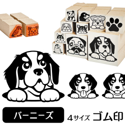 バーニーズ　イラストゴム印【選べる4サイズ】犬のイラストはんこ