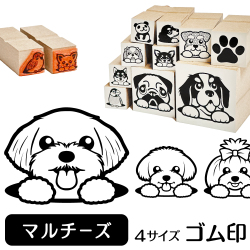 マルチーズ　イラストゴム印【選べる4サイズ】犬のイラストはんこ