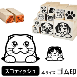 スコティッシュフォールド　イラストゴム印【選べる4サイズ】ネコのイラストはんこ