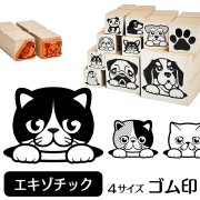 エキゾチックショートヘア　イラストゴム印【選べる4サイズ】ネコのイラストはんこ