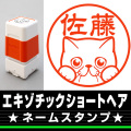 ネームスタンプ　エキゾチック