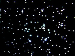 粉雪が舞うような美しい光の演出 満点の星も表現　新しいエフェクトライト