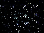 粉雪が舞うような美しい光の演出 満点の星も表現　新しいエフェクトライト