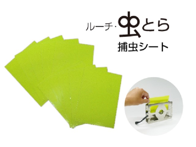 即納 最低価格 Luci ルーチ Ledデザイン捕虫器 虫とらハク Lmt B A N 用捕虫シート ルーチ 虫とらハク用捕虫シート Lmt S C 10枚入り 店舗照明のユニティ オンラインショップ