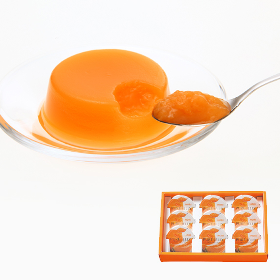 夕張メロンピュアゼリー9個入り