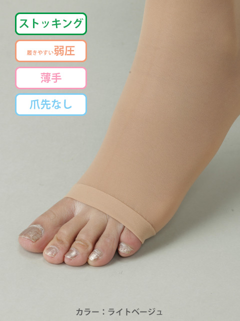 レックスフィット