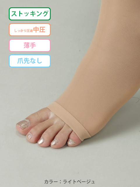 レックスフィット