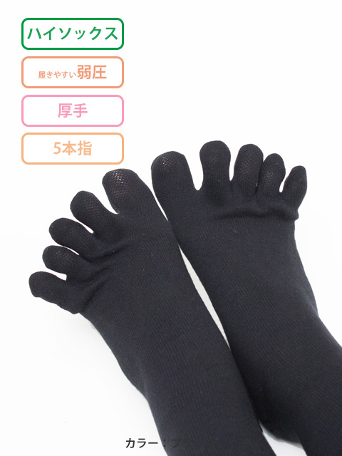 レックスフィットファイブ