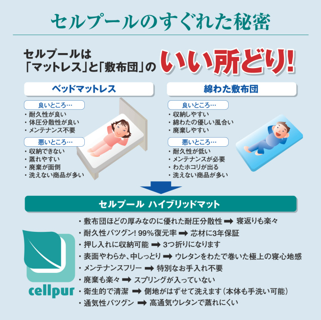 cellpur(セルプール)