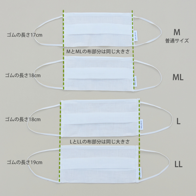 大きさの比較