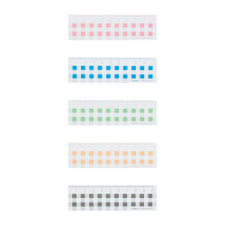 ギンガムチェック定規 目盛り 10cm C-3