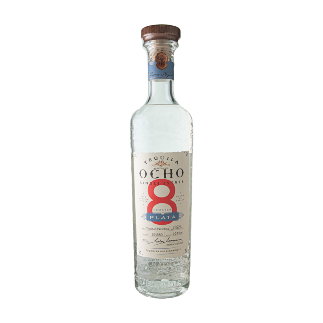 希少　E.colorata Tequila コロラータ テキーラ トニョコレ色々 | コキリノSucculents Life