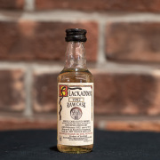 【ブラックアダー】【RAW CASK】ベン・ネヴィス1992 11年 ミニチュア 59.6/50[40047]（140047）